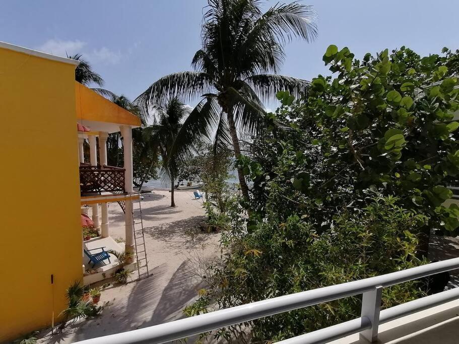 Marysol Great Views Beachfront Next To Nomads D3 Isla Mujeres Extérieur photo