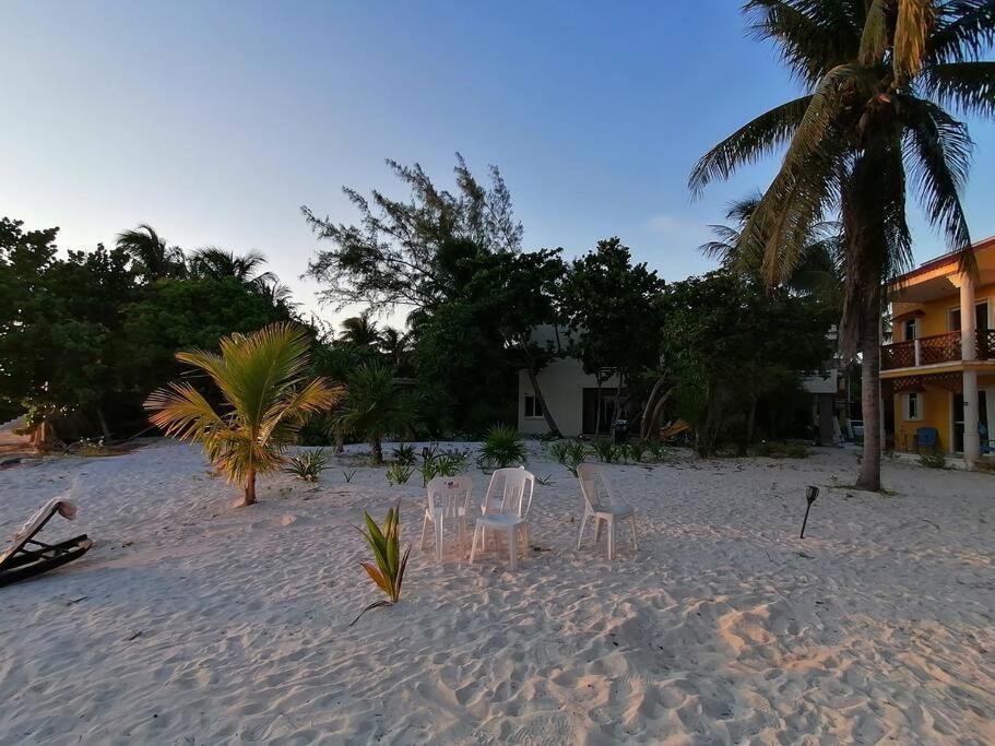 Marysol Great Views Beachfront Next To Nomads D3 Isla Mujeres Extérieur photo