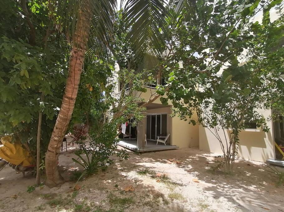 Marysol Great Views Beachfront Next To Nomads D3 Isla Mujeres Extérieur photo