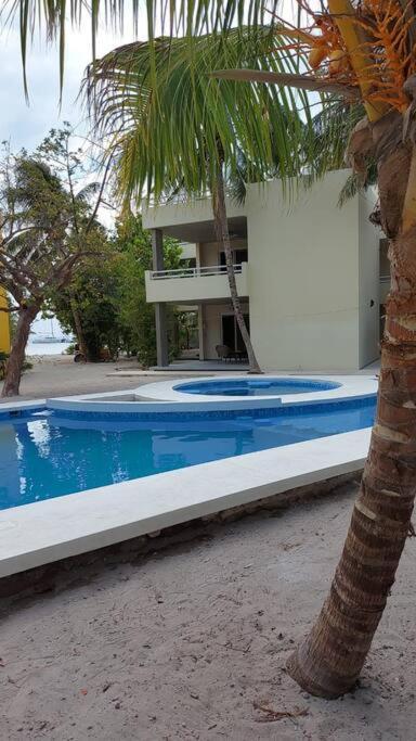Marysol Great Views Beachfront Next To Nomads D3 Isla Mujeres Extérieur photo