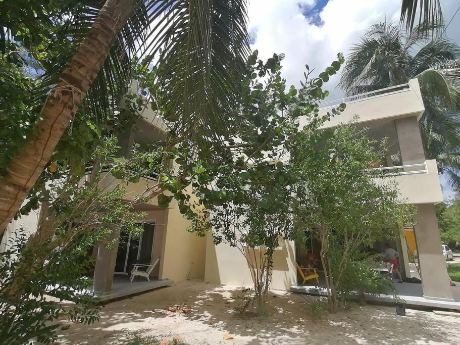 Marysol Great Views Beachfront Next To Nomads D3 Isla Mujeres Extérieur photo