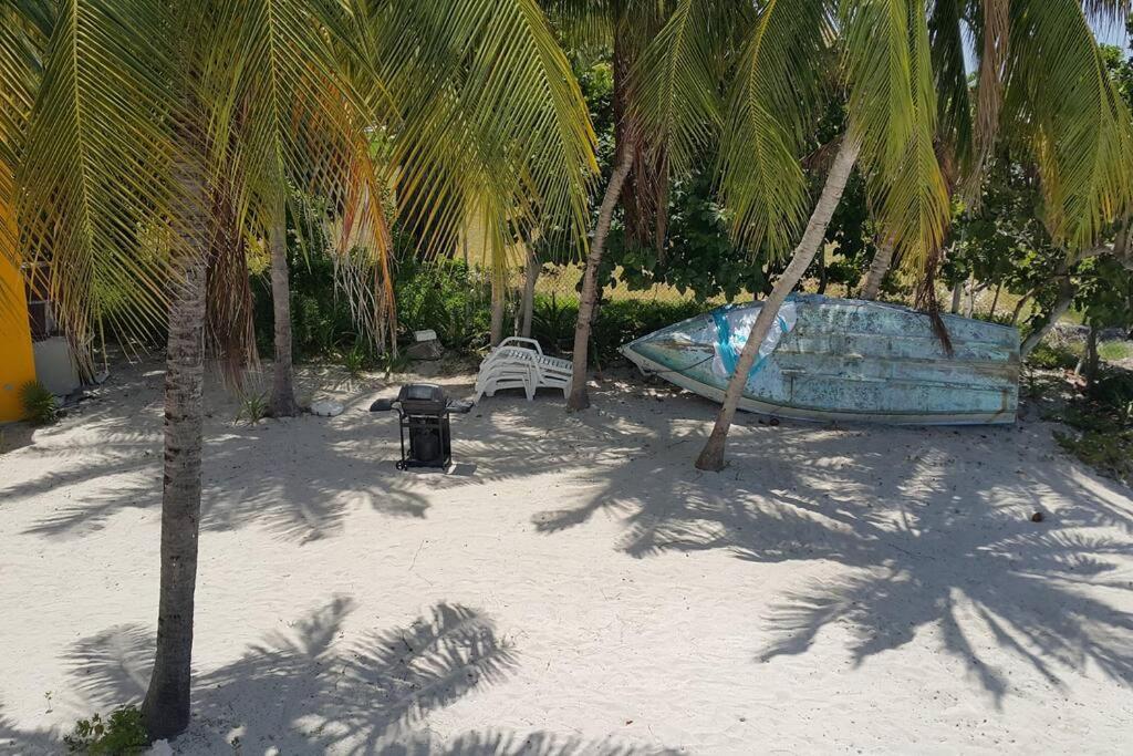 Marysol Great Views Beachfront Next To Nomads D3 Isla Mujeres Extérieur photo