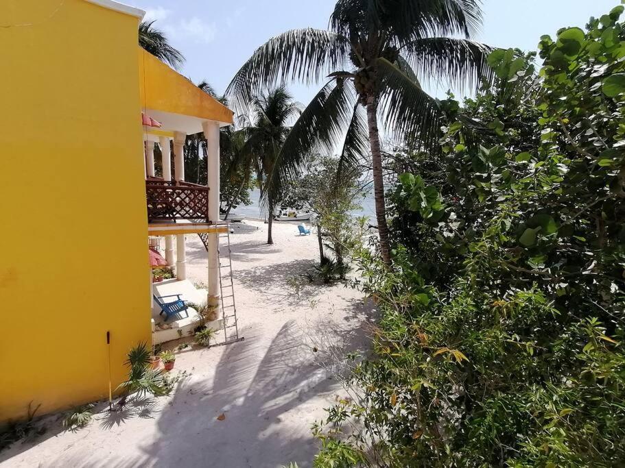 Marysol Great Views Beachfront Next To Nomads D3 Isla Mujeres Extérieur photo