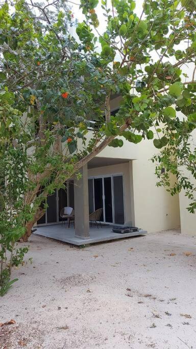 Marysol Great Views Beachfront Next To Nomads D3 Isla Mujeres Extérieur photo